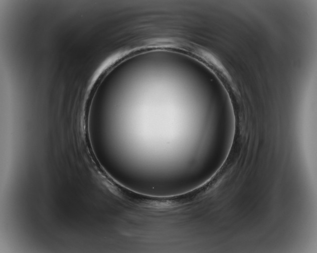 X0000086001328200703300939