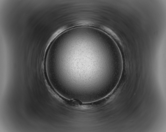 X0000086001330200703300939