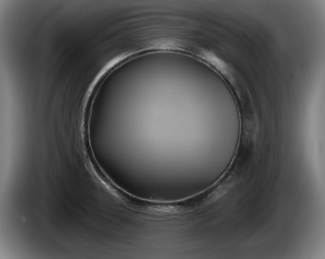 X0000086001331200703300939