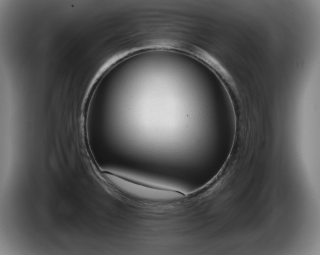 X0000086001332200703300939