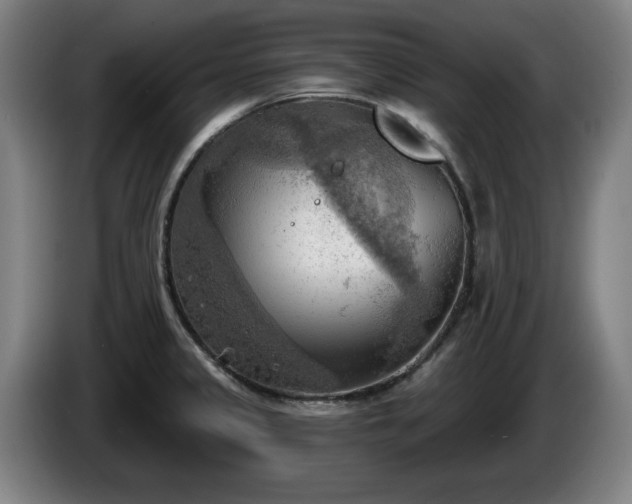 X0000086001333200703300939