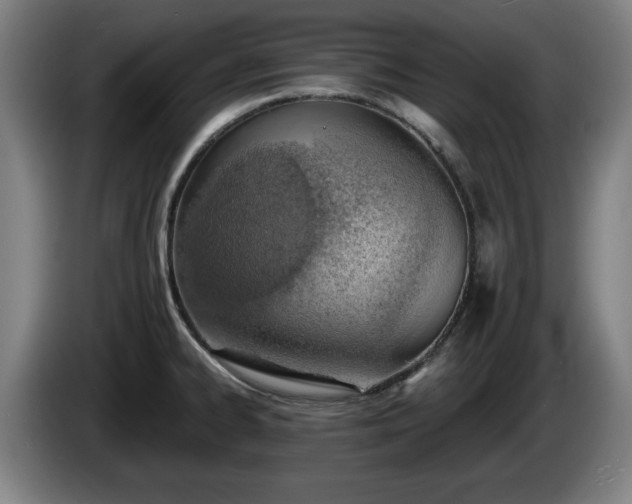 X0000086001334200703300939