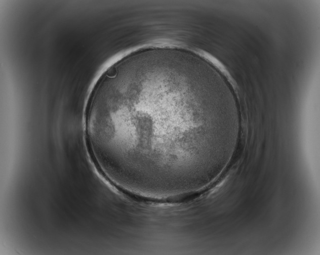 X0000086001335200703300939