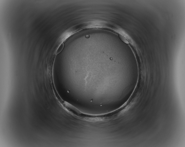 X0000086001337200703300939