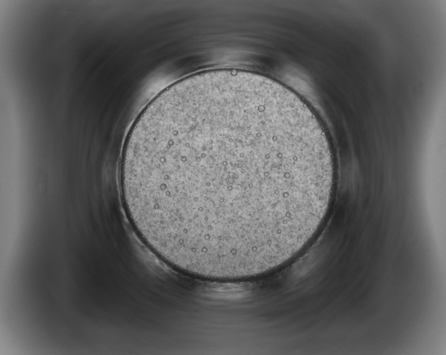 X0000086001338200703300939