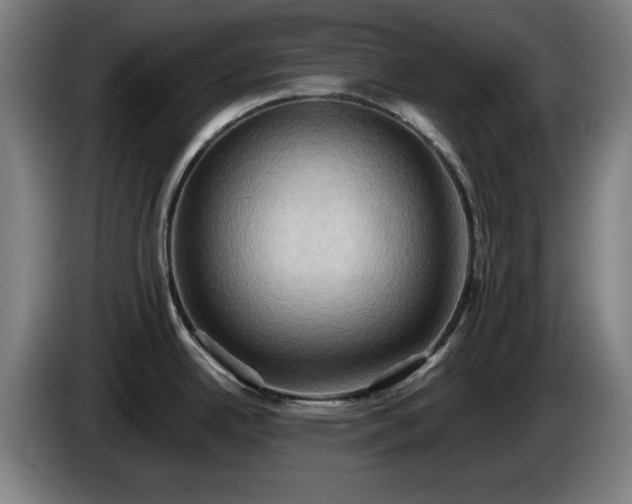 X0000086001342200703300939