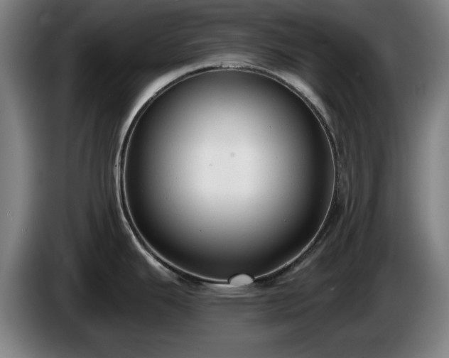 X0000086001343200703300939