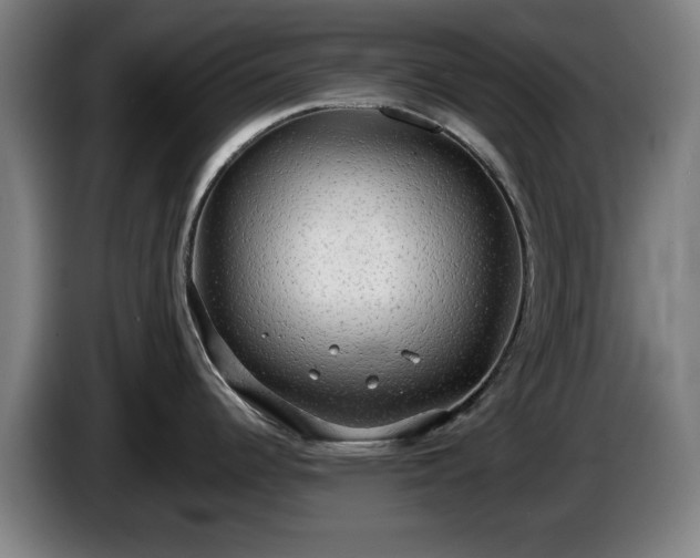 X0000086001344200703300939