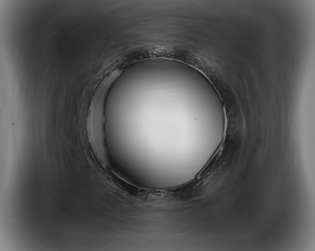 X0000086001345200703300938