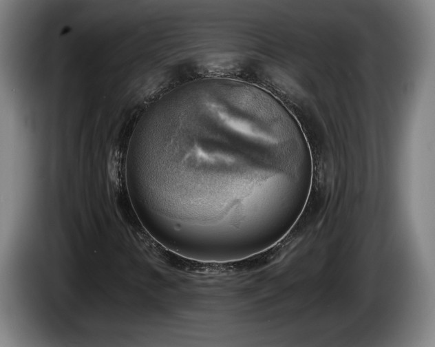 X0000086001346200703300938