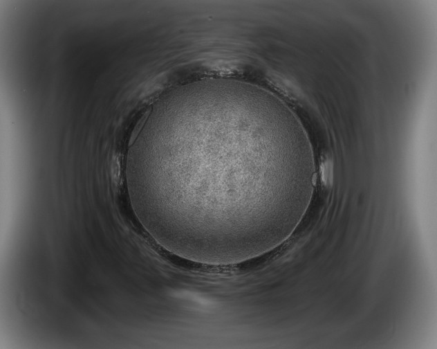 X0000086001347200703300938