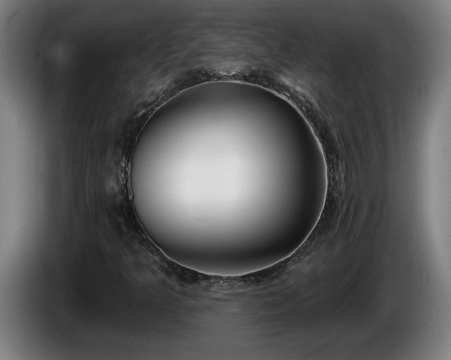 X0000086001349200703300938