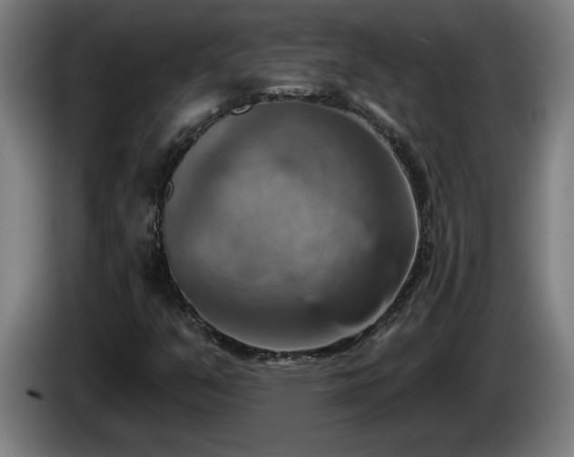 X0000086001351200703300938