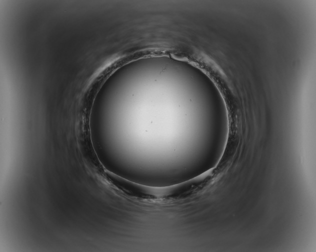 X0000086001352200703300938