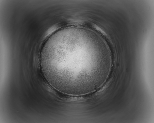 X0000086001354200703300938