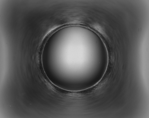 X0000086001356200703300938