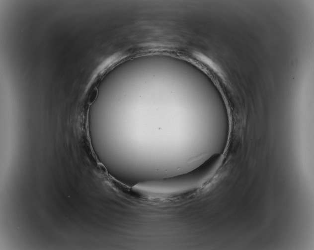 X0000086001357200703300938