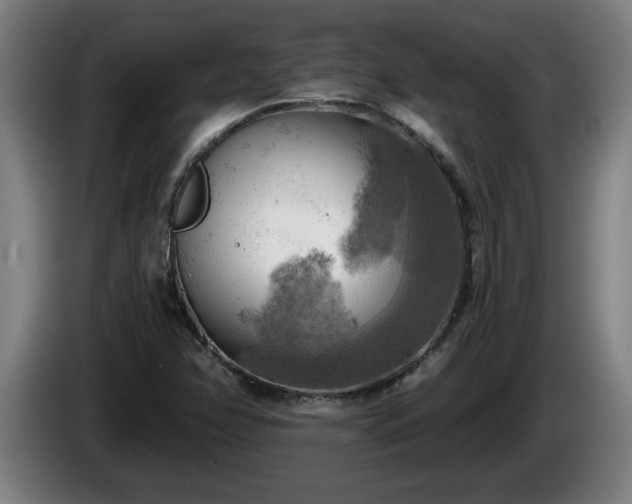 X0000086001358200703300938