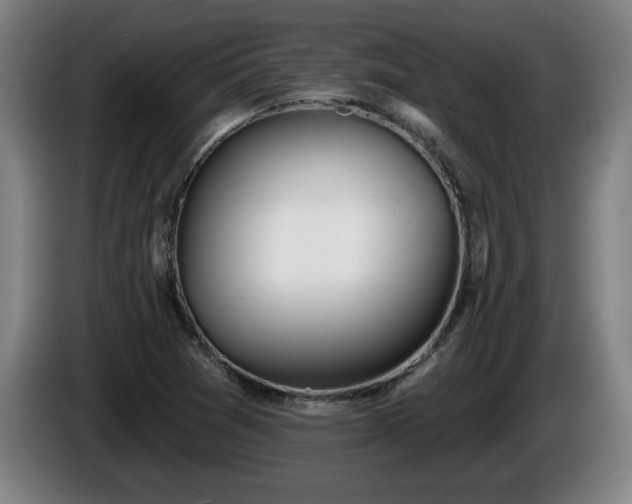 X0000086001361200703300938