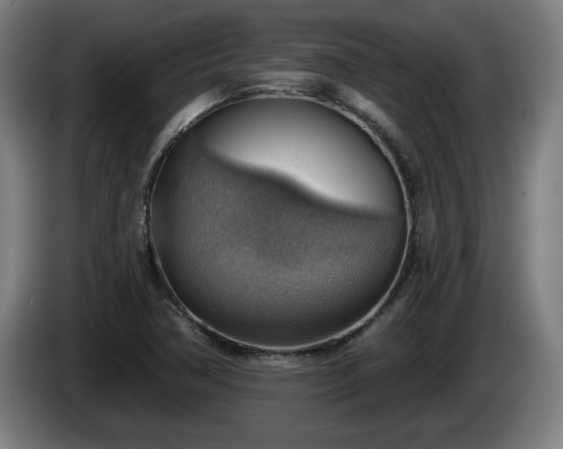 X0000086001362200703300938