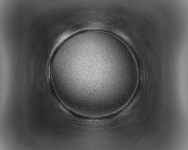 X0000086001366200703300938