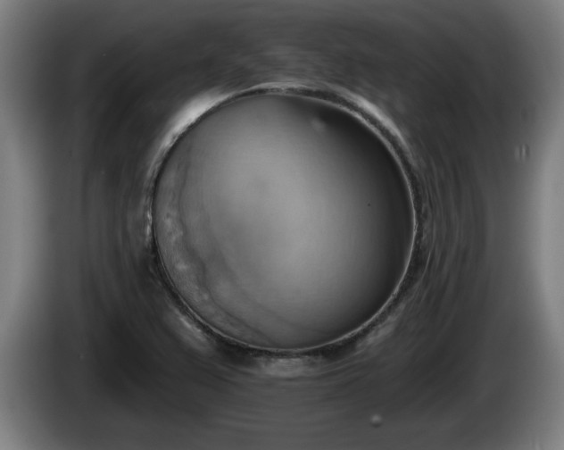 X0000086001367200703300938