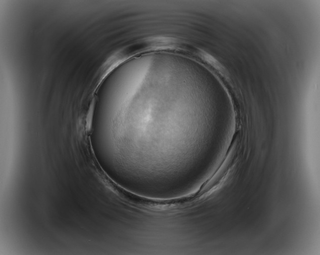 X0000086001369200703300938