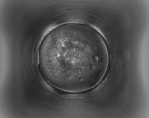 X0000086001371200703300938