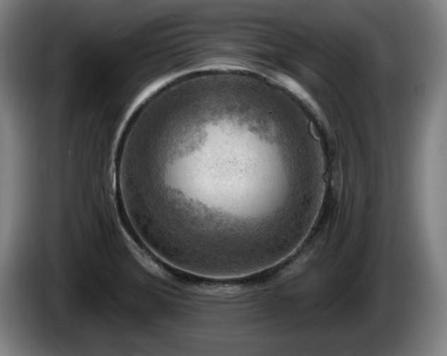 X0000086001372200703300938