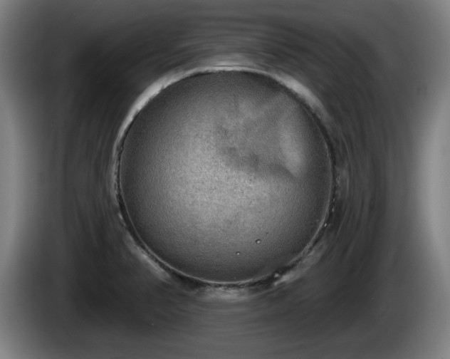 X0000086001374200703300938