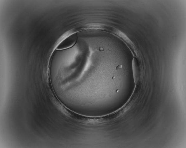 X0000086001378200703300938