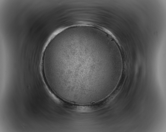 X0000086001379200703300938