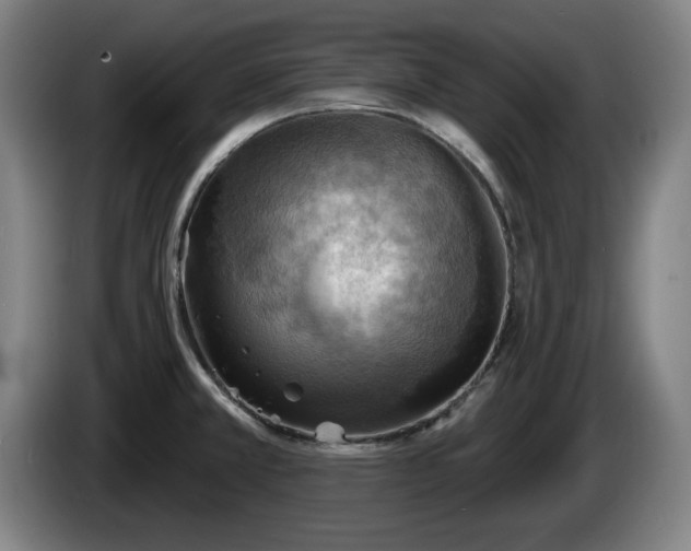 X0000086001381200703300938