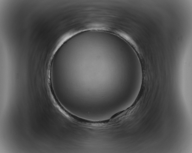 X0000086001383200703300938