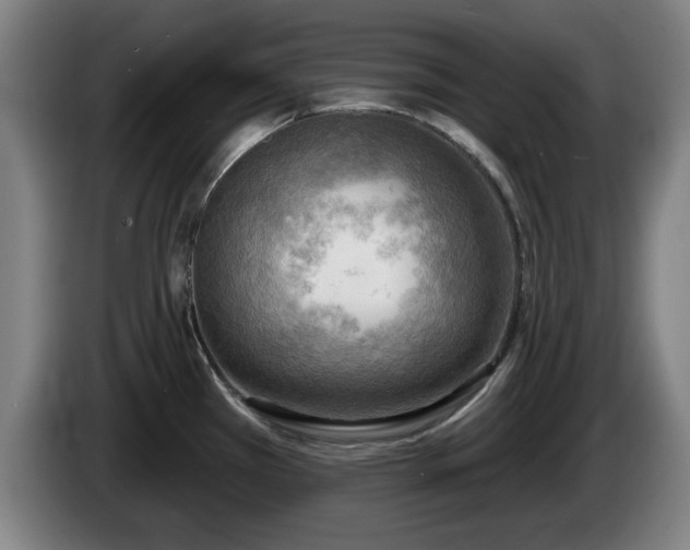 X0000086001385200703300938