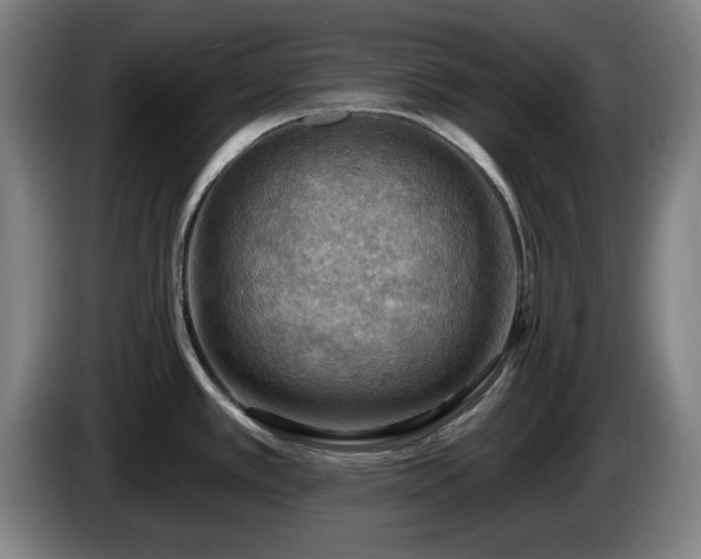 X0000086001389200703300938