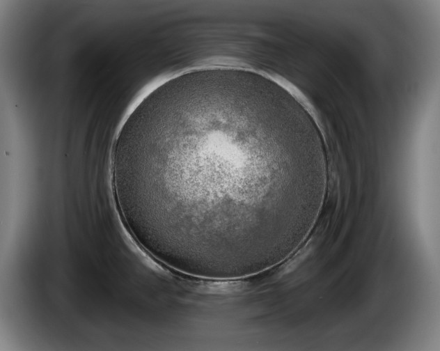 X0000086001390200703300938