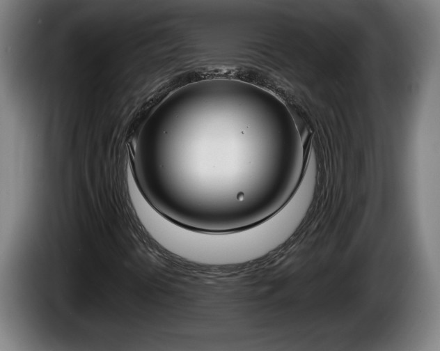 X0000086001394200703300937