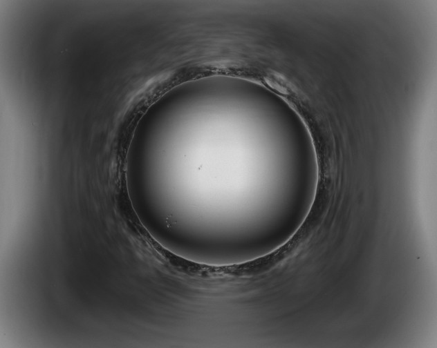 X0000086001398200703300937