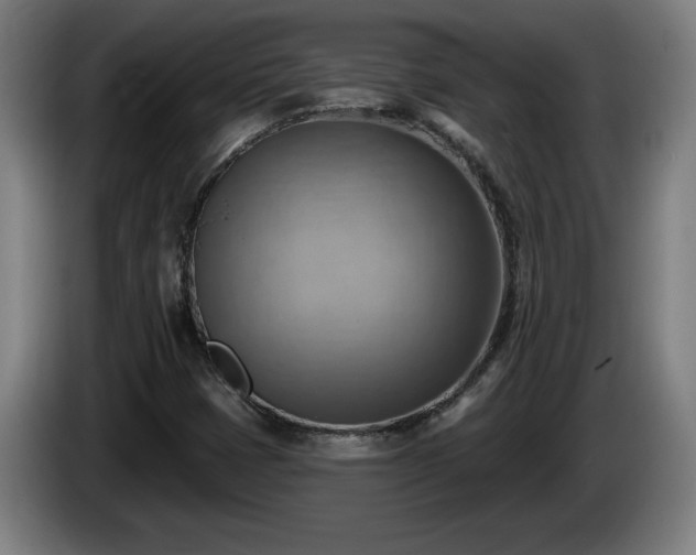 X0000086001401200703300937