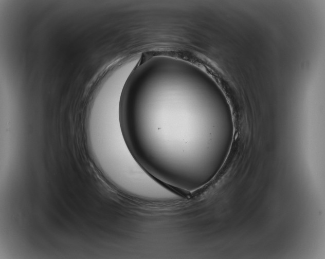 X0000086001402200703300937