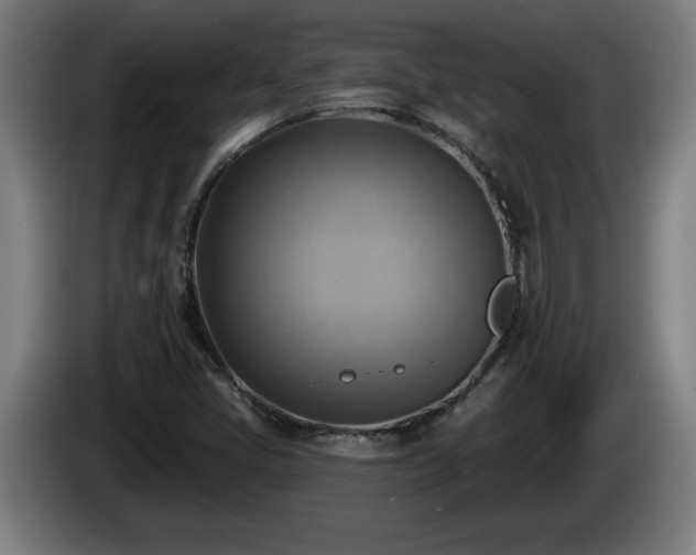 X0000086001405200703300937