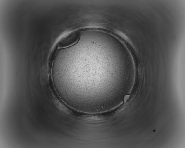 X0000086001408200703300937