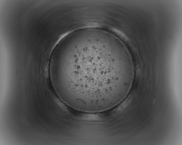 X0000086001409200703300937