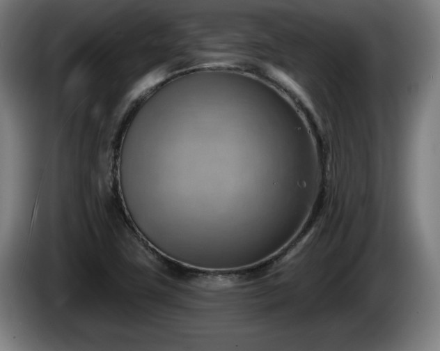 X0000086001411200703300937