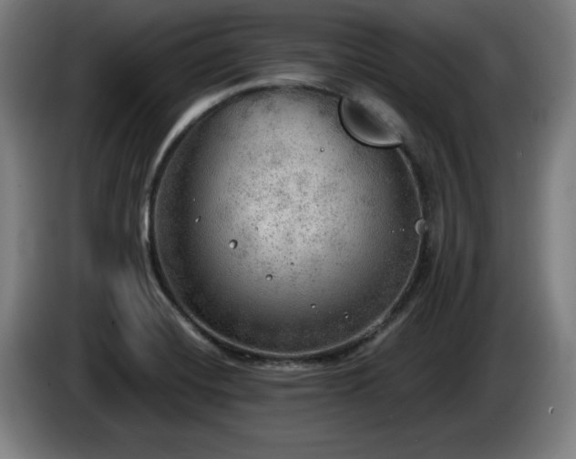 X0000086001420200703300937