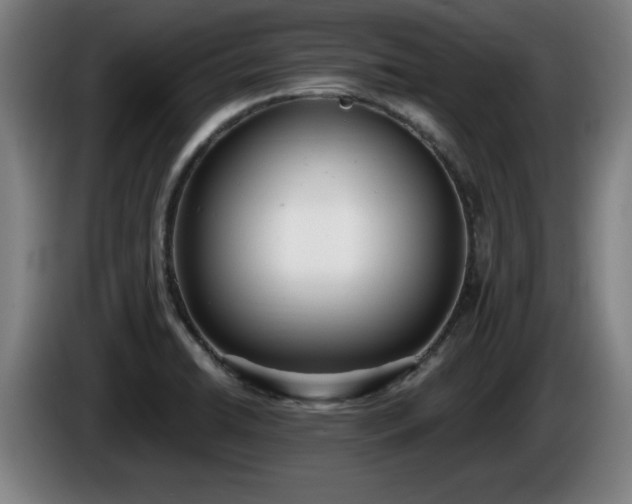 X0000086001422200703300938