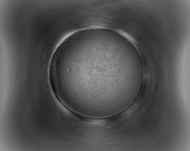 X0000086001423200703300938