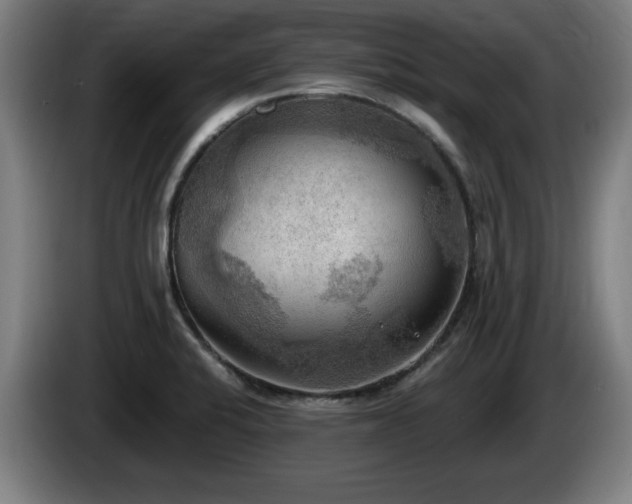 X0000086001424200703300938