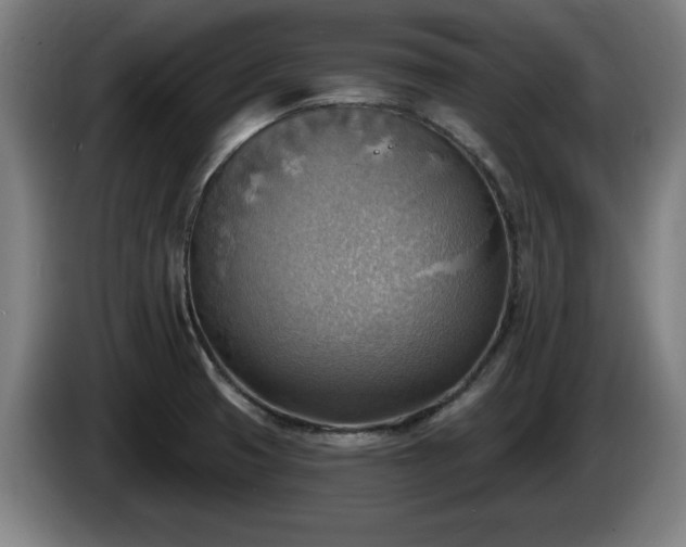 X0000086001425200703300938